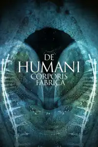 Poster : De humani corporis fabrica