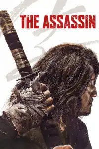 Poster : The Assassin