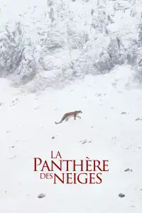 Poster : La Panthère des neiges