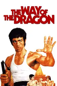 Poster : La Fureur du dragon