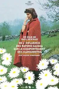 De l'influence des rayons gamma sur le comportement des marguerites