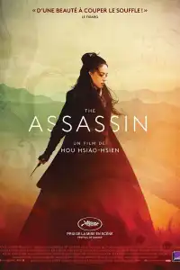 Poster : The Assassin