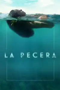 Poster : La pecera