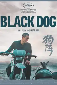 Poster : Black Dog