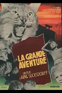 Poster : La Grande aventure