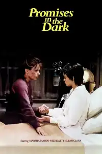 Poster : Promises in the Dark