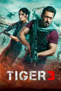 Poster : Tiger 3