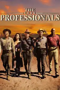 Poster : Les Professionnels