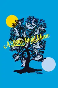 Poster : Une petite musique de nuit