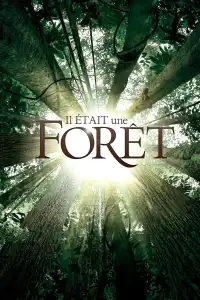 Poster : Il était une forêt