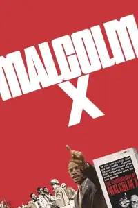 Poster : Malcolm X