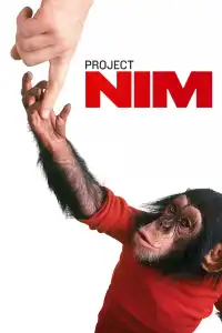 Poster : Le Projet Nim