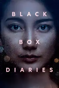 Poster : Black Box Diaries