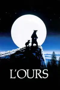 Poster : L'Ours