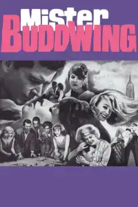 Poster : Mister Buddwing