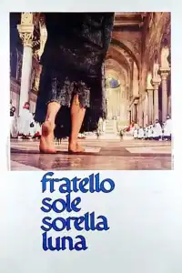 Poster : François et le chemin du soleil