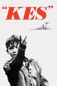 Poster : Kes