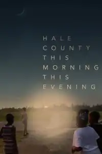 Poster : Hale County, jour après jour