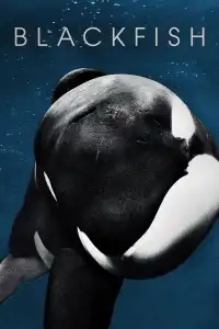 Poster : Blackfish