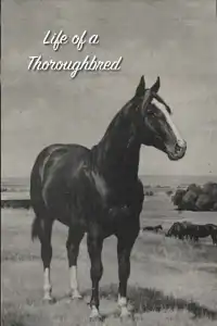 Poster : Life of a Thoroughbred