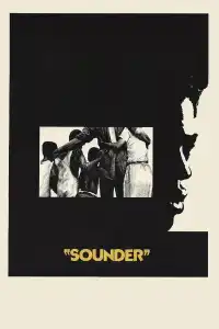 Poster : Sounder