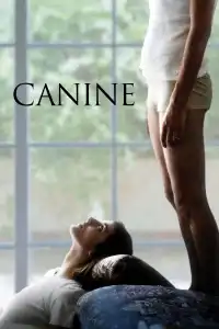 Poster : Canine