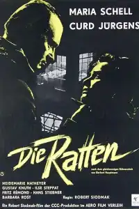 Poster : Les Rats