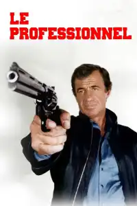 Poster : Le Professionnel