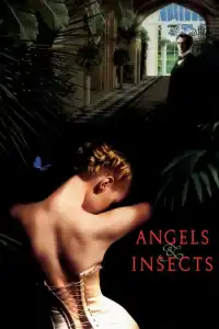 Poster : Angels and Insects