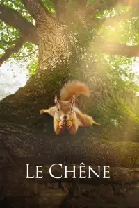 Poster : Le Chêne