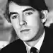 Peter Cook