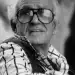 Mimmo Cattarinich