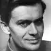 Ivo Palec