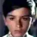 Răzvan Petrescu