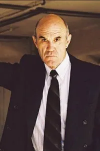 John Dennis Johnston