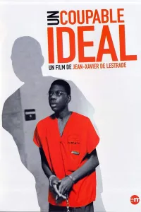 Affiche de Un coupable idéal