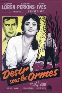 Affiche de Désir sous les ormes