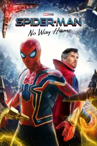Affiche de Spider-Man : No Way Home
