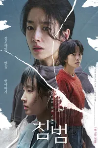 Affiche de Somebody