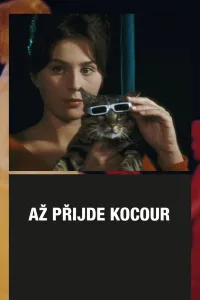 Affiche de Un jour, un chat…