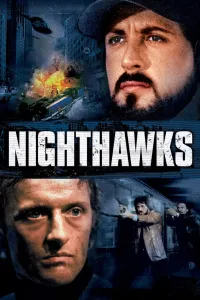 Affiche de Les Faucons de la nuit
