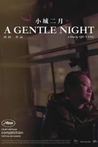 Affiche de Une nuit douce