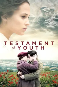 Affiche de Mémoires de jeunesse