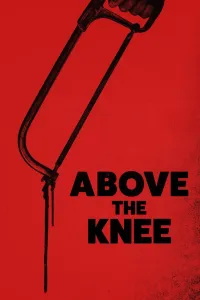 Affiche de Above the Knee