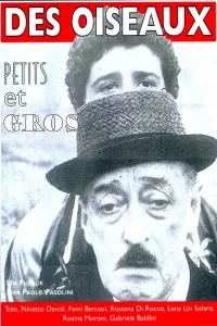 Affiche de Des oiseaux, petits et gros