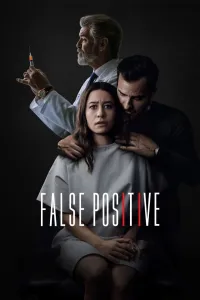 Affiche de False Positive