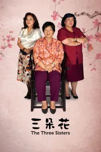 Affiche de 三朵花