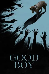 Affiche de Good Boy