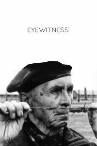 Affiche de Eyewitness