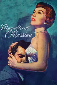 Affiche de Le Secret magnifique